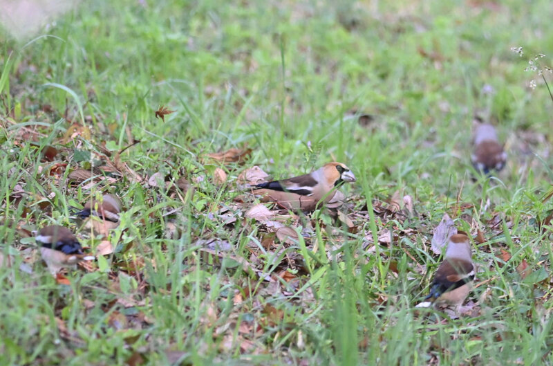 霊園のシメ